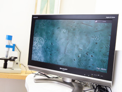 歯周病は早期発見がカギ！進行を防ぐ治療方法とは？